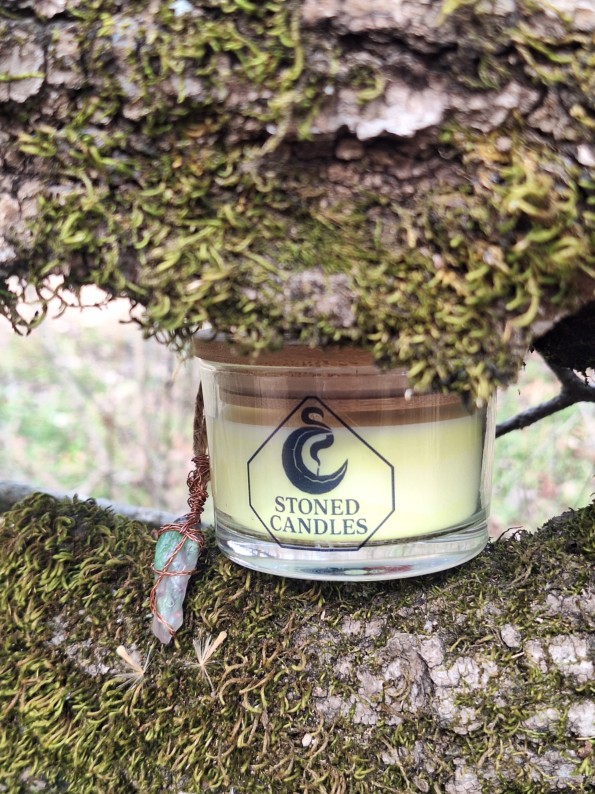Jar of 'Stoned Candles' candle embedded in a tree trunk with moss.